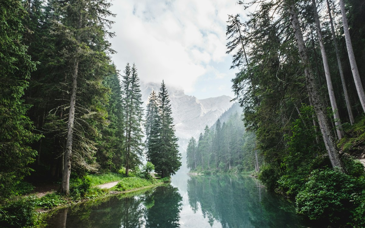 A calm river reflecting the forest on its banks.